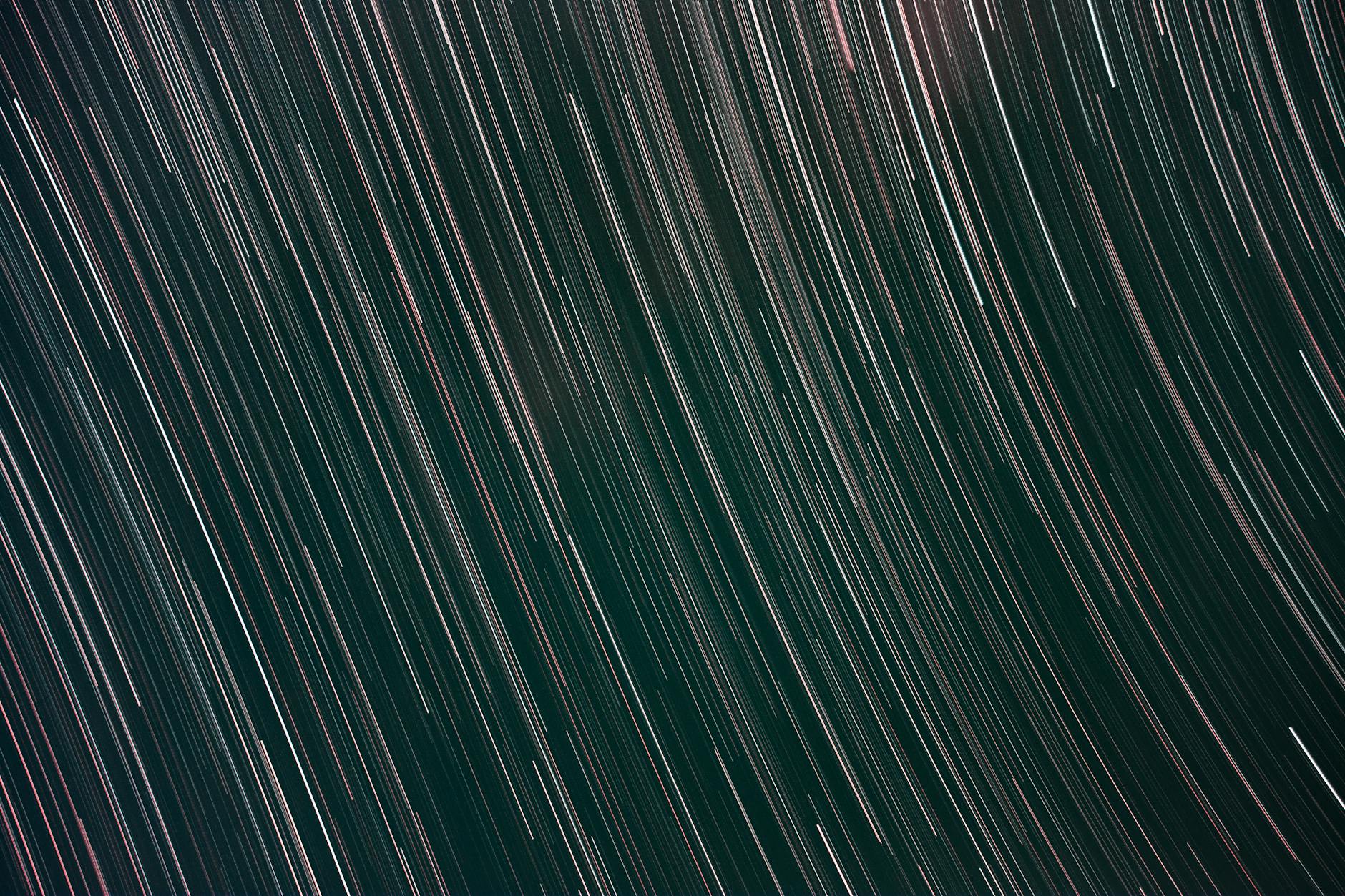 Plakat filmu Hopnięci z polskim dubbingiem na ekranach kin w Stargardzie